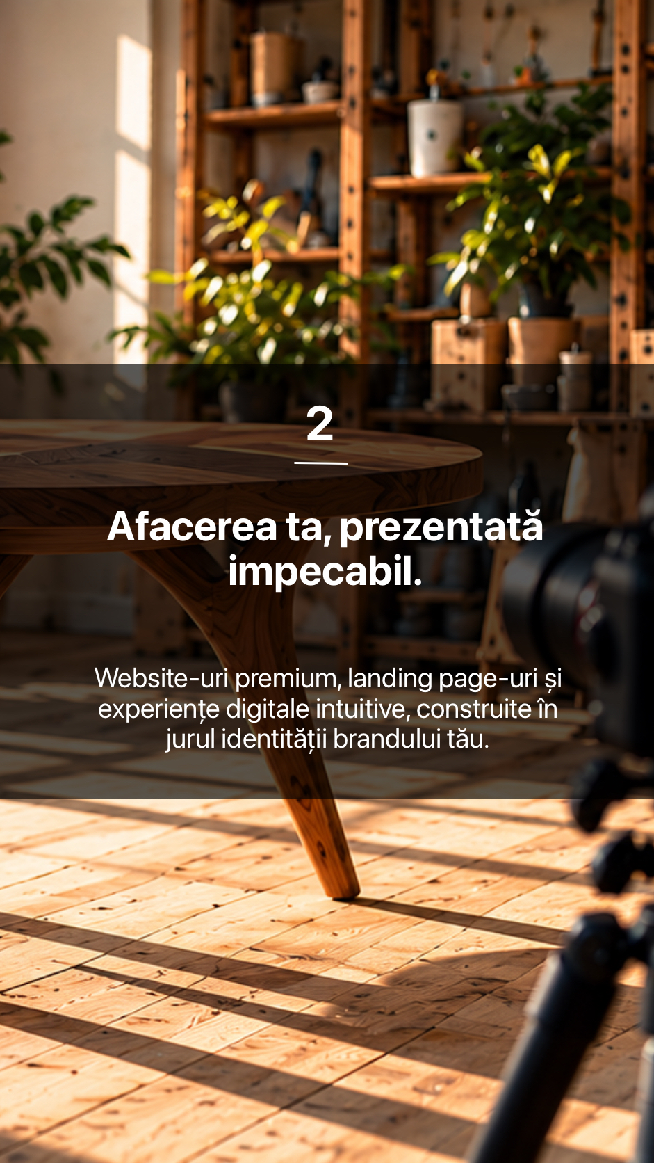 2. Afacerea ta, prezentată impecabil.