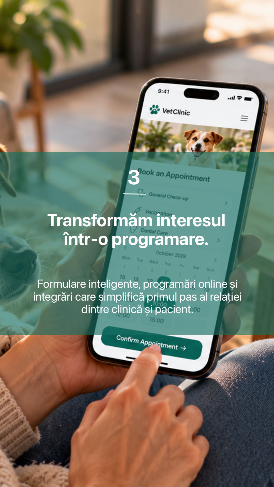 3. Transformăm interesul într-o programare.
