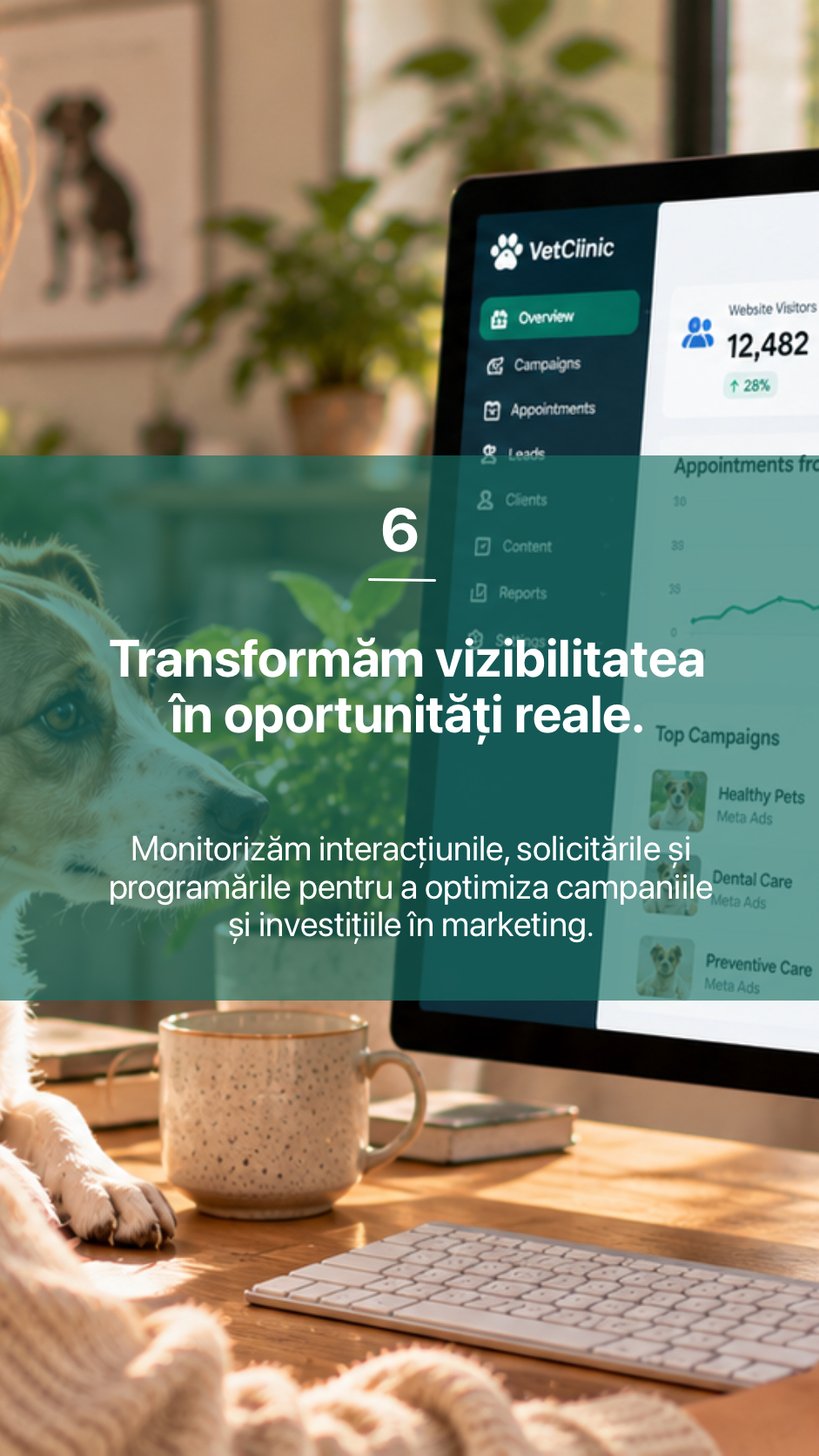 6. Transformăm vizibilitatea în oportunități reale.