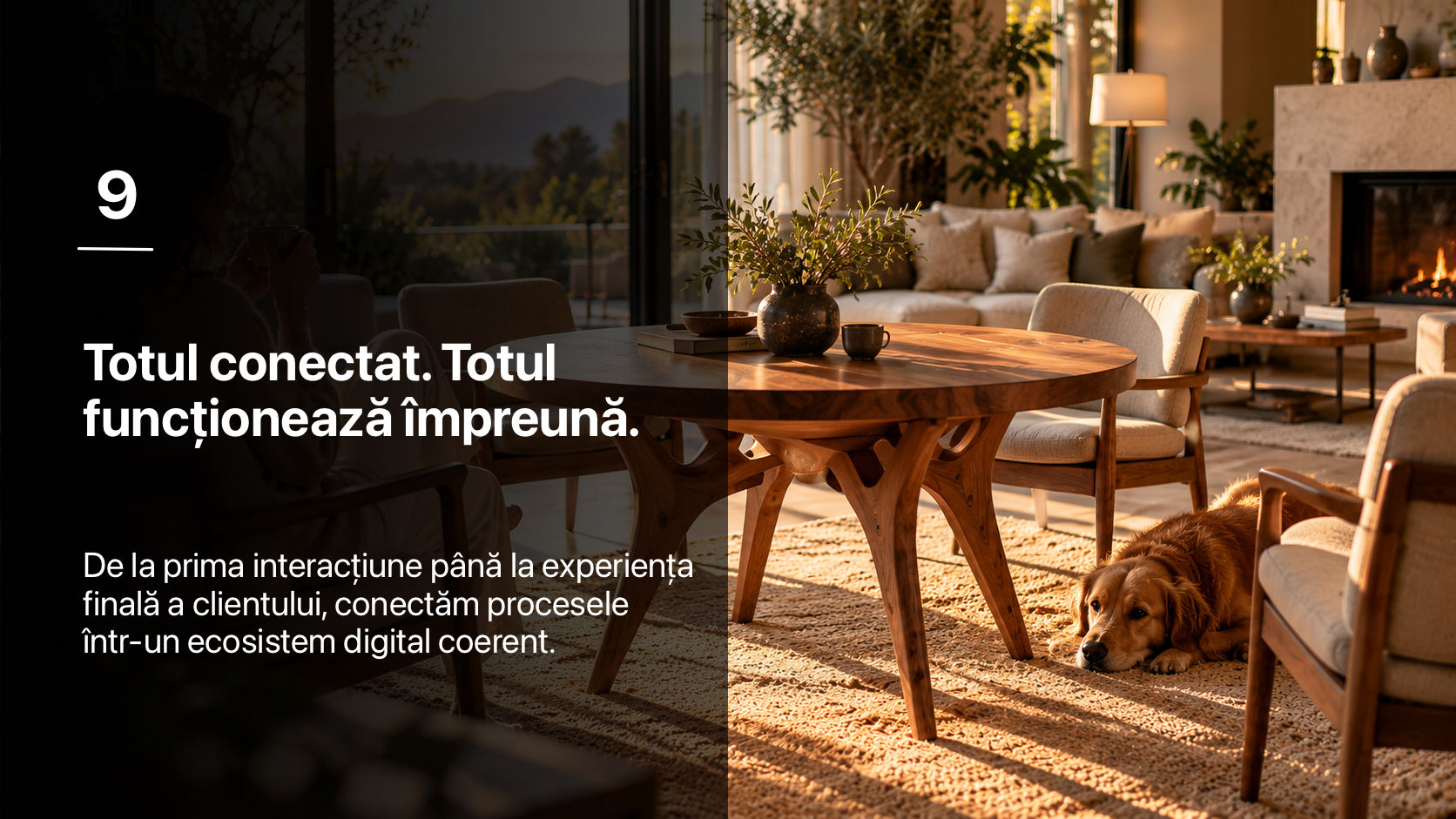 Totul conectat. Totul funcționează împreună.